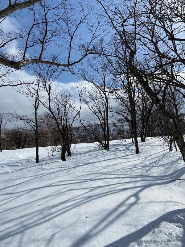 スノー スポーツとスキー