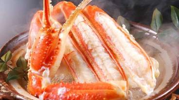 食事・飲み物 / 6