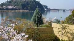 犬山温泉 旬樹庵 八勝閣みづのを