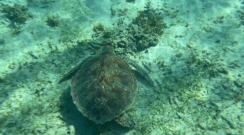 youxiang_1007さんの写真 / 1