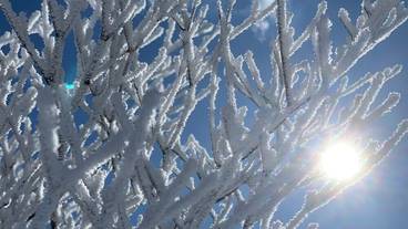 エコツアー / 18