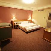 仙台ヒルズホテル（宮城県 シティホテル） / 3