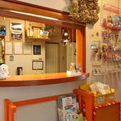 ゲストハウス キンザザ（岐阜県 ゲストハウス・ホステル・ドミトリー） / 3