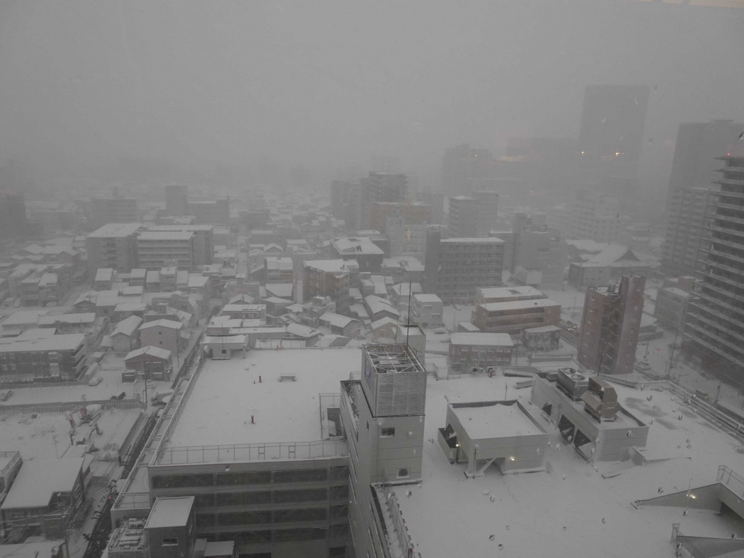 朝起きたら・・・、大雪でした・・・