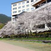 飛騨川沿いに佇む丹心の老舗宿 下呂温泉山形屋（岐阜県 旅館） / 4