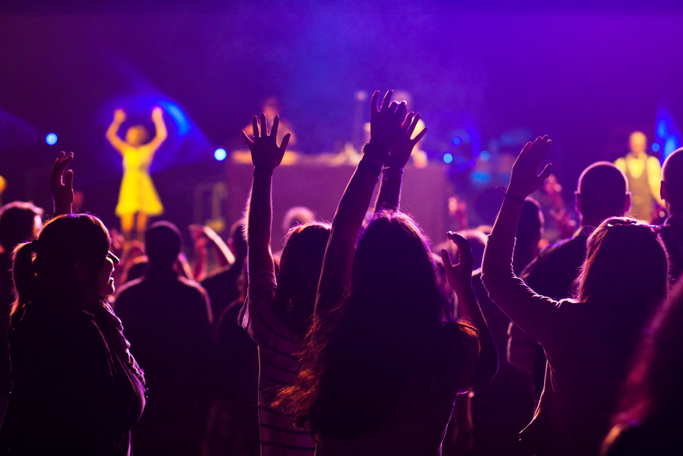 crowd at concert - summer music festival