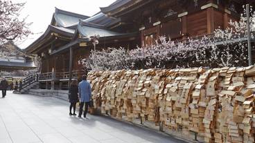 シティ ビュー / 17