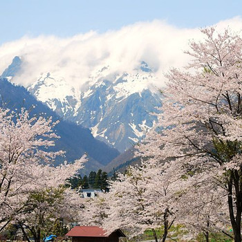 6. 【群馬県】旅館たにがわ4245826
