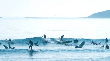 サーフィン / ボディボード / 1