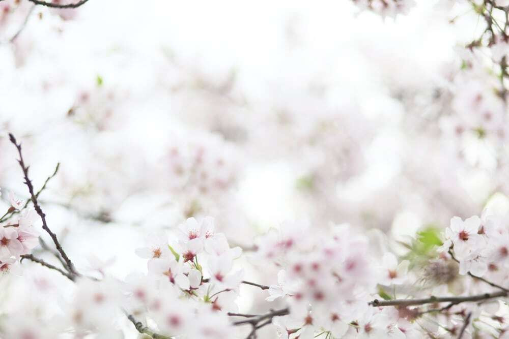 施設からの眺望