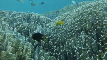 エコツアー / 10