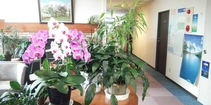 白馬八方温泉 白馬ホテル花乃郷（長野県 旅館） / 1