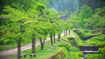 マウンテン ビュー / 5