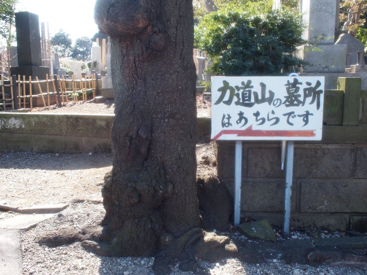 著名人のお墓も1540195