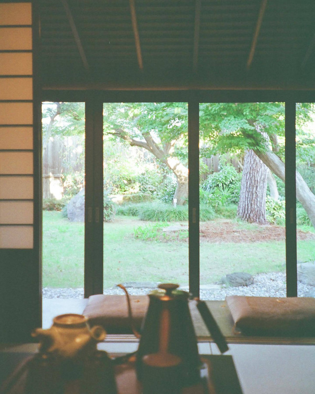 lanavenderさんの写真 / 3