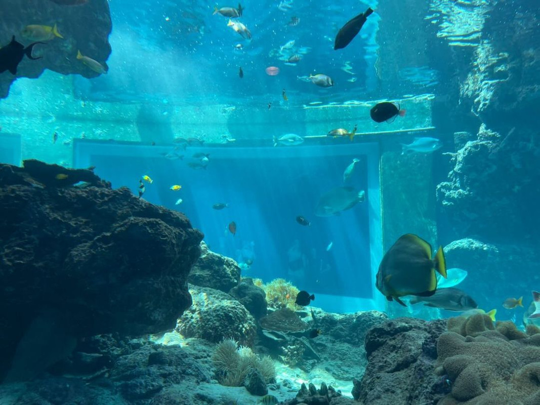 lalala_okinawa58さんの写真 / 4