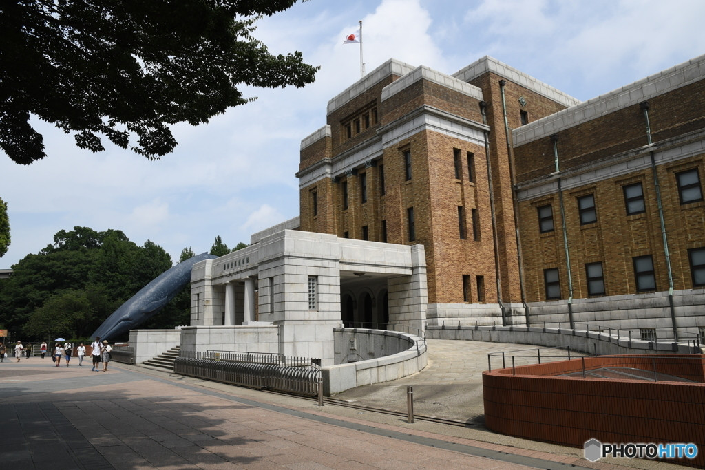 3.上野2027953
