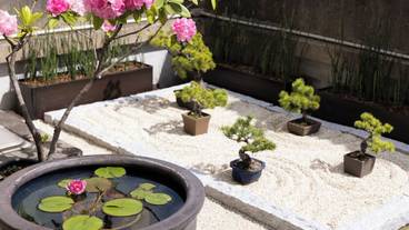 屋上テラス / 15