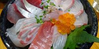 福岡で人気の居酒屋教えます♪“魚自慢”の居酒屋10選