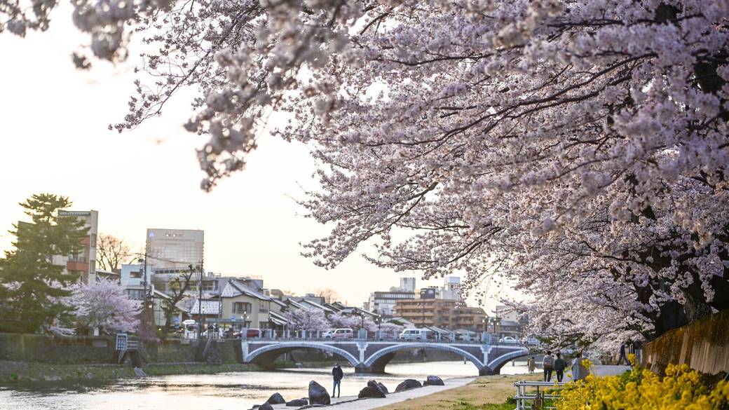 「浅野川」周辺の風景　春 / 3