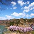 越後田中温泉 しなの荘