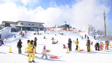 観光スポット / 6