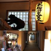 岩間温泉 秘湯の一軒宿 山崎旅館（石川県 旅館） / 3