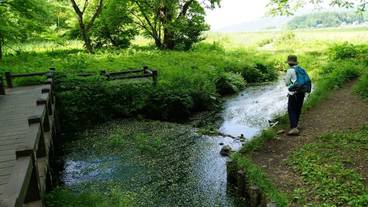 マウンテン ビュー / 15