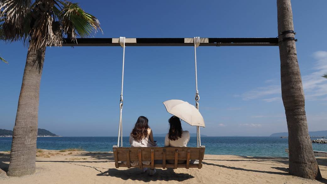 ヤシの木ブランコ(ざうお内)  / 2