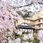 温泉と美食と、ゆるりお花見♡桜景色がきれいなお花見旅館7選【全国】