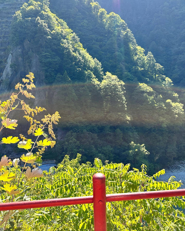 pppppgneさんの写真 / 2