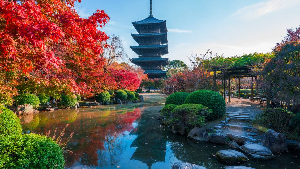 五重塔と紅葉 / 4