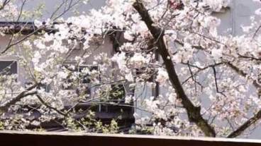 施設からの眺望 / 7