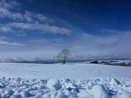 ホテル サンフラトン / 4