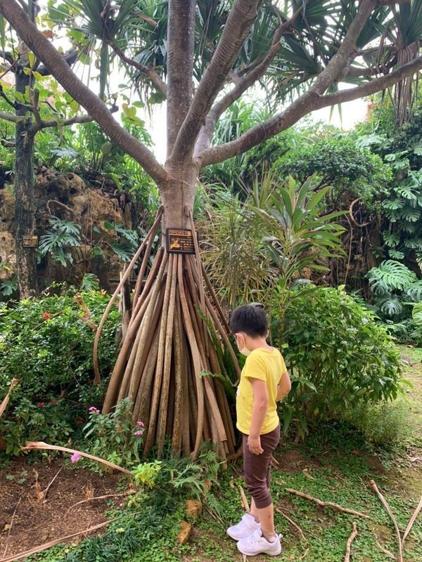 sanomi_tokyoさんの写真 / 4