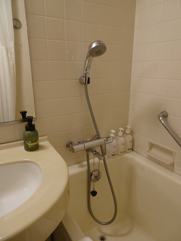 バスルーム、シャンプー類はダブです