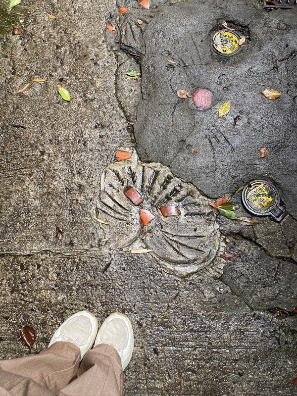 ma_yadologさんの写真 / 1