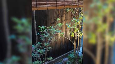 ガーデン ビュー / 12