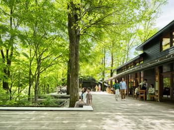 Karuizawa Umbrella Sky