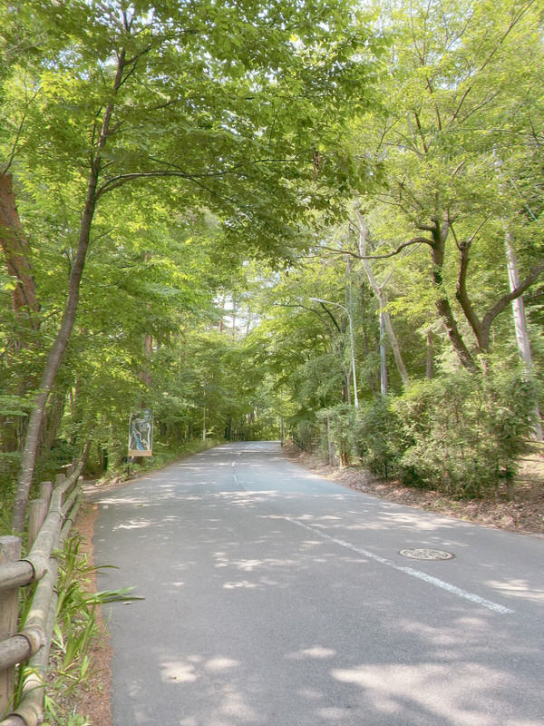 icotto_onatsu0525さんの写真 / 1