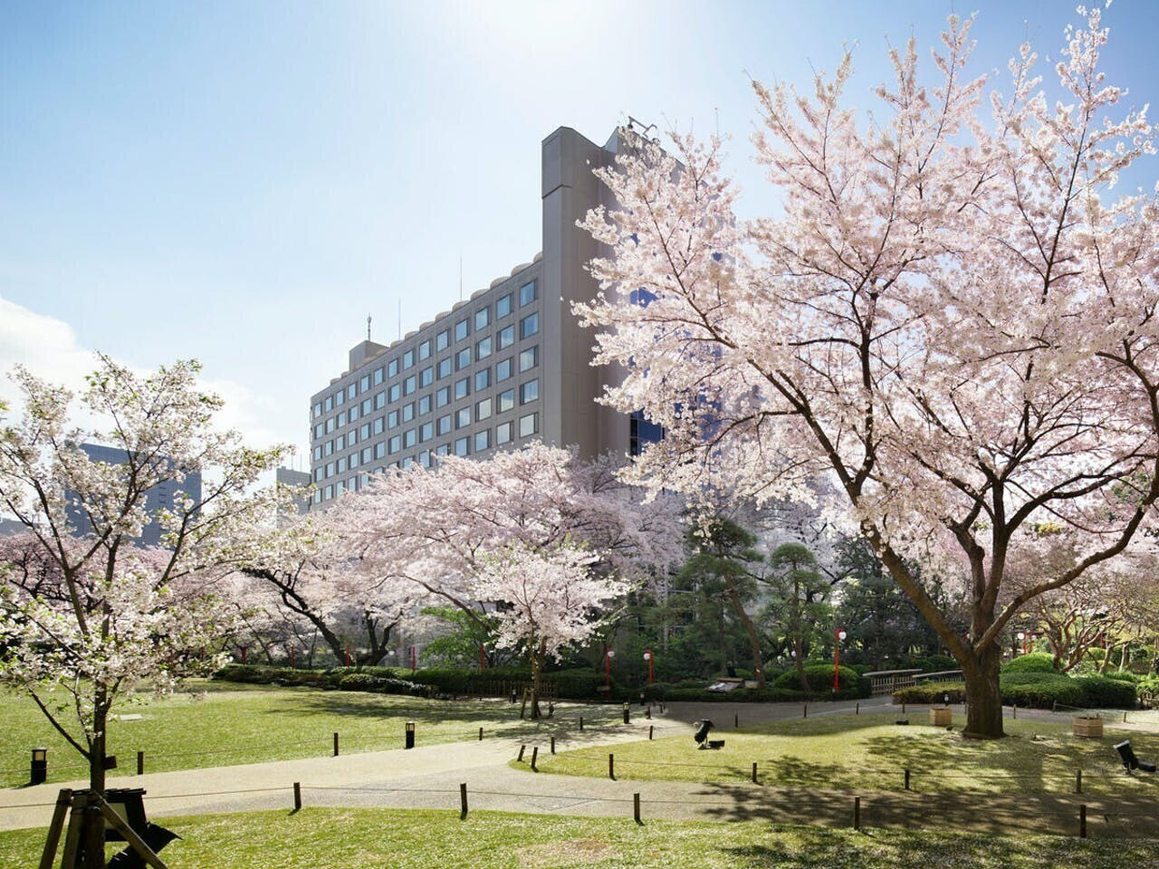 今年は静かにお花見 桜咲く お花見におすすめの東京のホテル10選 Icotto イコット