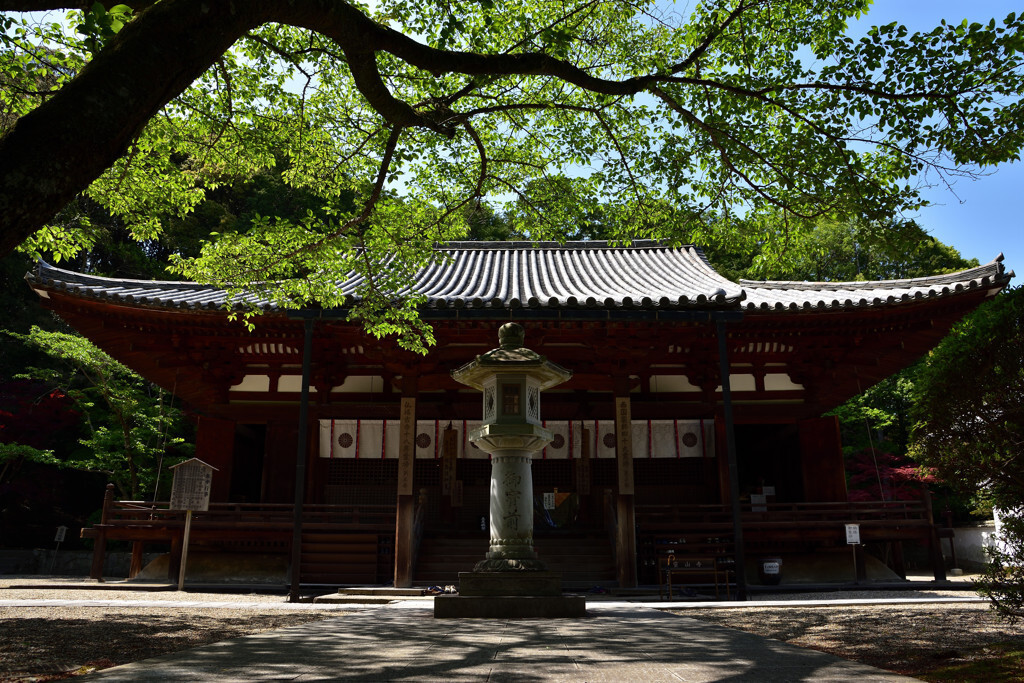 美しいバラ園に薬湯…由緒あるお寺で心のデトックス3712217