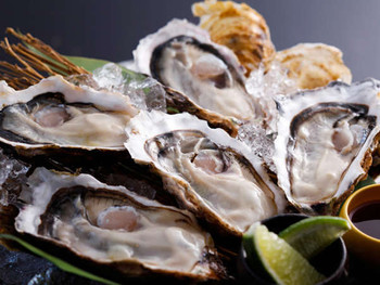 絶品カキ料理が自慢のデザイナーズ旅館3500524