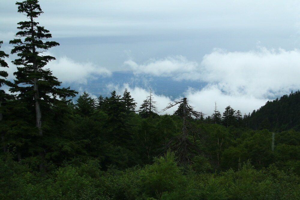 施設からの眺望