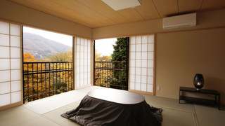 和洋室 40平米 ぼたん