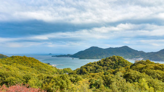 デラックス ツインルーム 禁煙