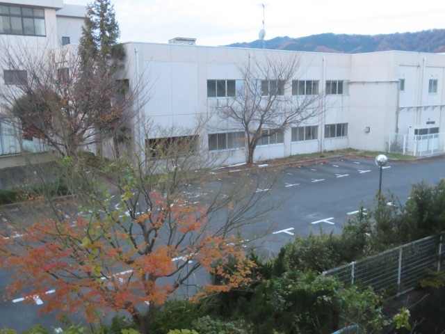 客室からの眺め