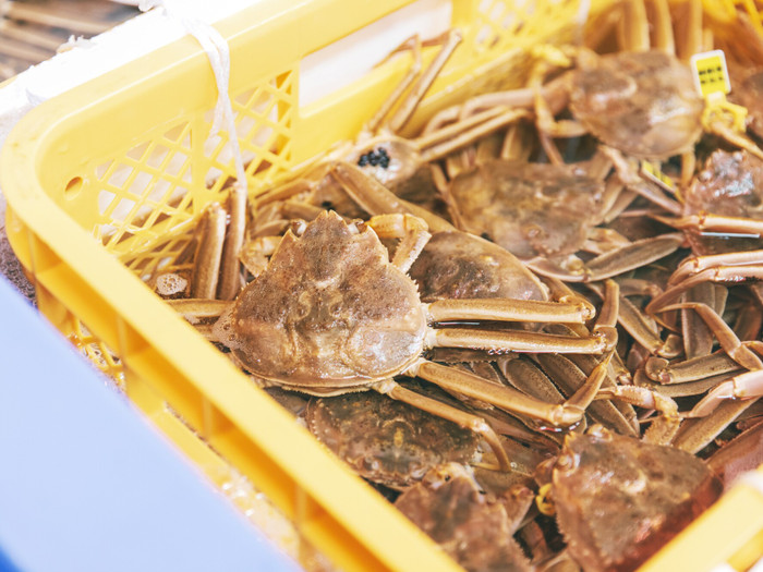 かにの体内にある細かい泥を何日もかけ丁寧に吐かせます。この手間が、かにの旨味や香り、甘みを引き立てる秘密