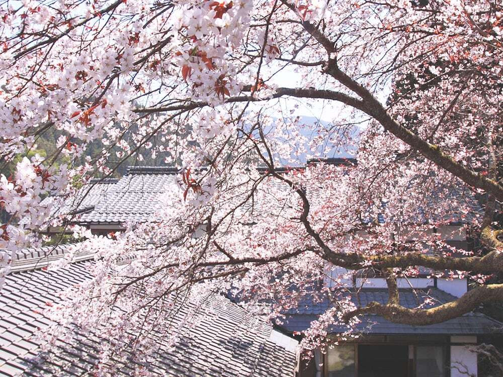 中庭