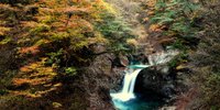 山梨・森林浴スポット！森と清流が織りなす風光明媚な「西沢渓谷」見どころ紹介